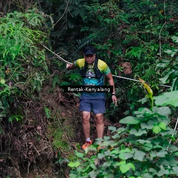 Runner Photo 8375762