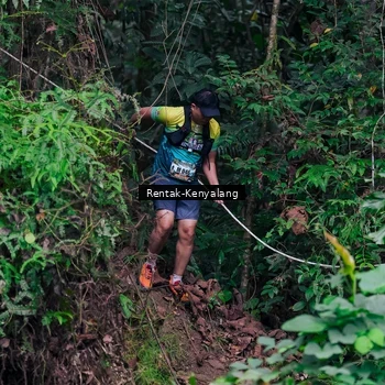 Runner Photo 8375767