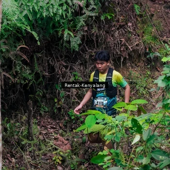 Runner Photo 8376026