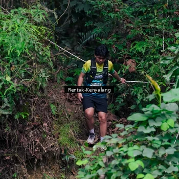 Runner Photo 8376028