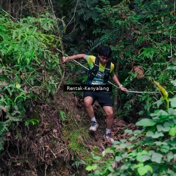 Runner Photo 8376031