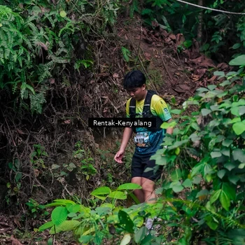 Runner Photo 8376032
