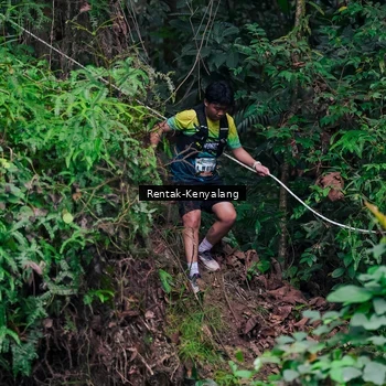 Runner Photo 8376039
