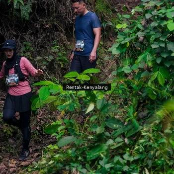 Runner Photo 8376065