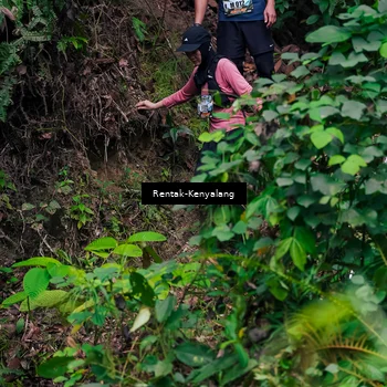 Runner Photo 8376075