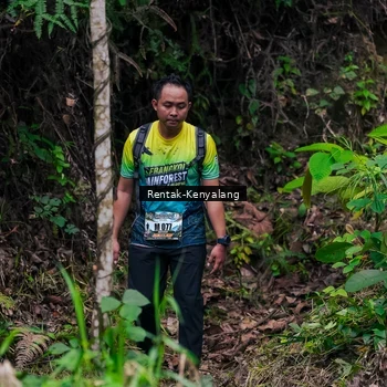 Runner Photo 8376081