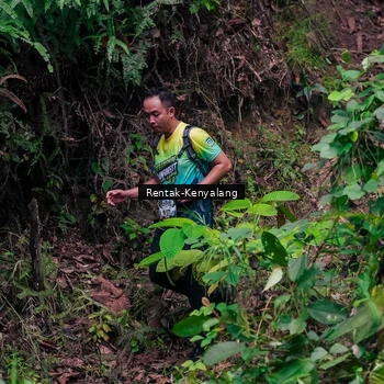 Runner Photo 8376086