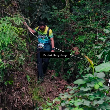 Runner Photo 8376096