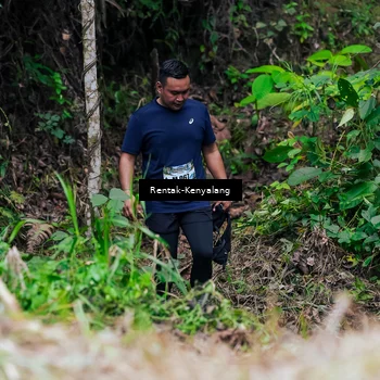 Runner Photo 8376101