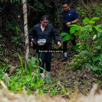 Runner Photo 8376109