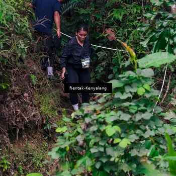 Runner Photo 8376129