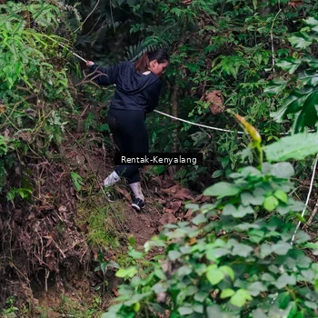 Runner Photo 8376137