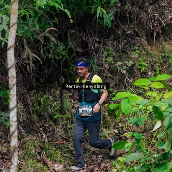 Runner Photo 8376151
