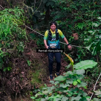 Runner Photo 8376160