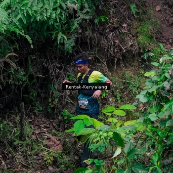 Runner Photo 8376162