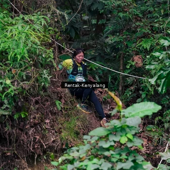 Runner Photo 8376165