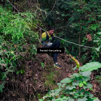 Runner Photo 8376168