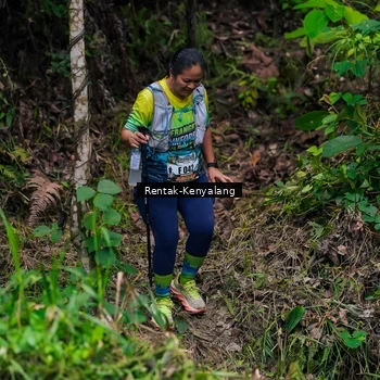 Runner Photo 8376174