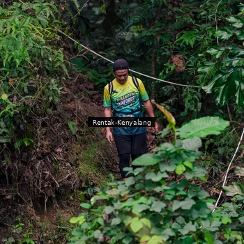 Runner Photo 8376178