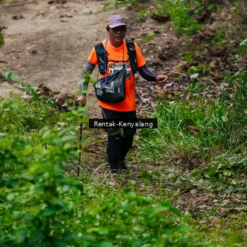 Runner Photo 8376188