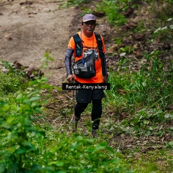 Runner Photo 8376191