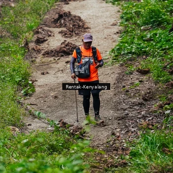 Runner Photo 8376193