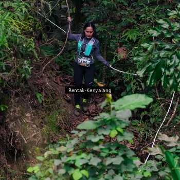 Runner Photo 8376217