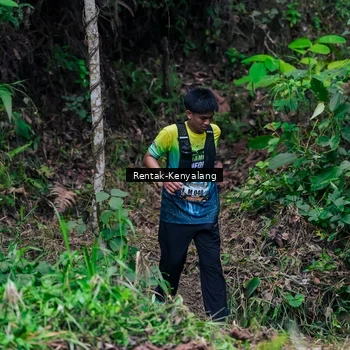 Runner Photo 8376235