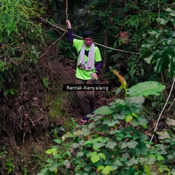 Runner Photo 8376251