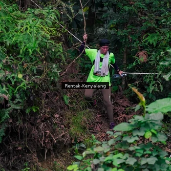 Runner Photo 8376265