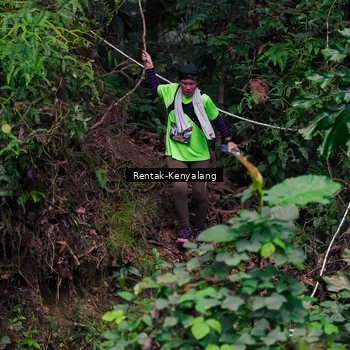 Runner Photo 8376274
