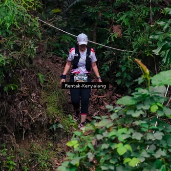 Runner Photo 8376277