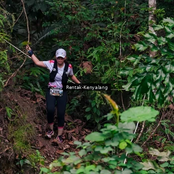 Runner Photo 8376293