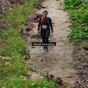 Runner Photo 8376294