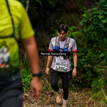 Runner Photo 8376297