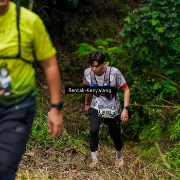 Runner Photo 8376303