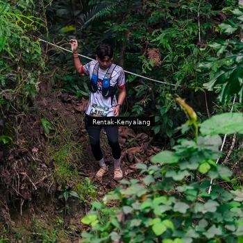 Runner Photo 8376314