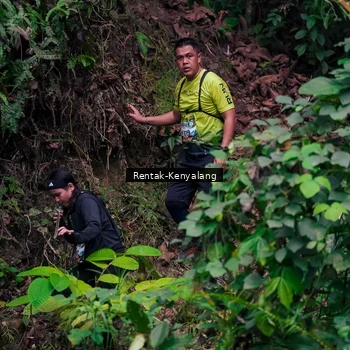 Runner Photo 8376317