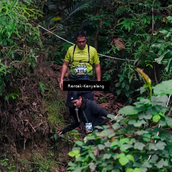 Runner Photo 8376321
