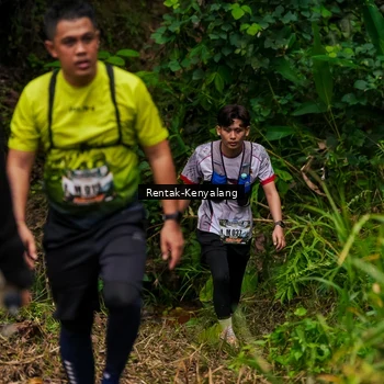 Runner Photo 8376326