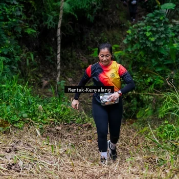 Runner Photo 8376334