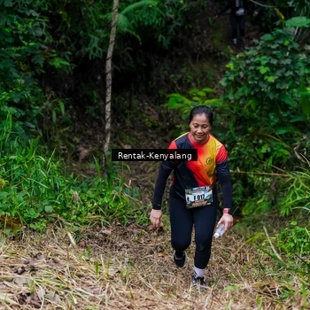 Runner Photo 8376344