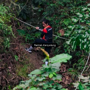 Runner Photo 8376355
