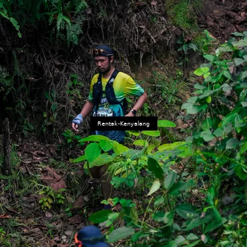 Runner Photo 8376367