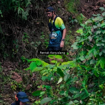 Runner Photo 8376368