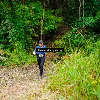 Runner Photo 8376408
