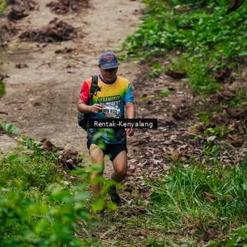 Runner Photo 8376422