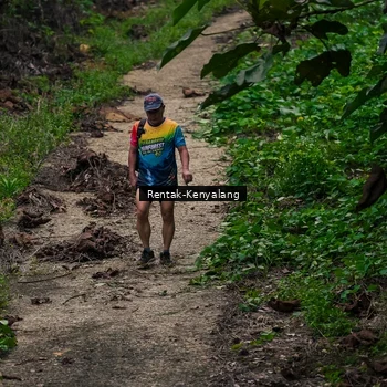 Runner Photo 8376425