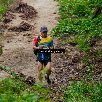 Runner Photo 8376434