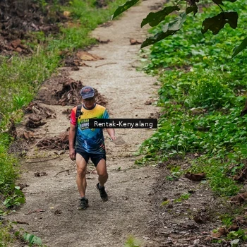 Runner Photo 8376435